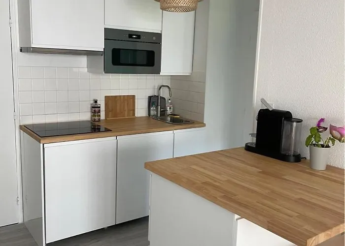 Rénové Avec Piscine, 2mns à Pied Appartement Agde